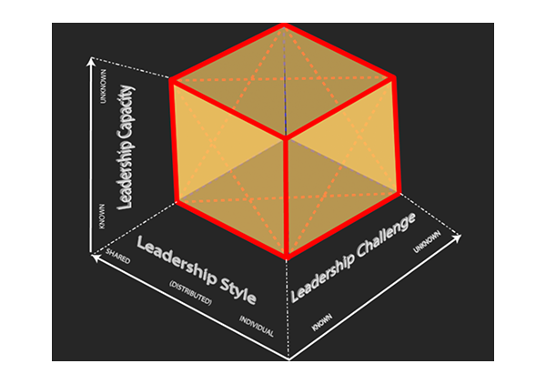 3D Leadership