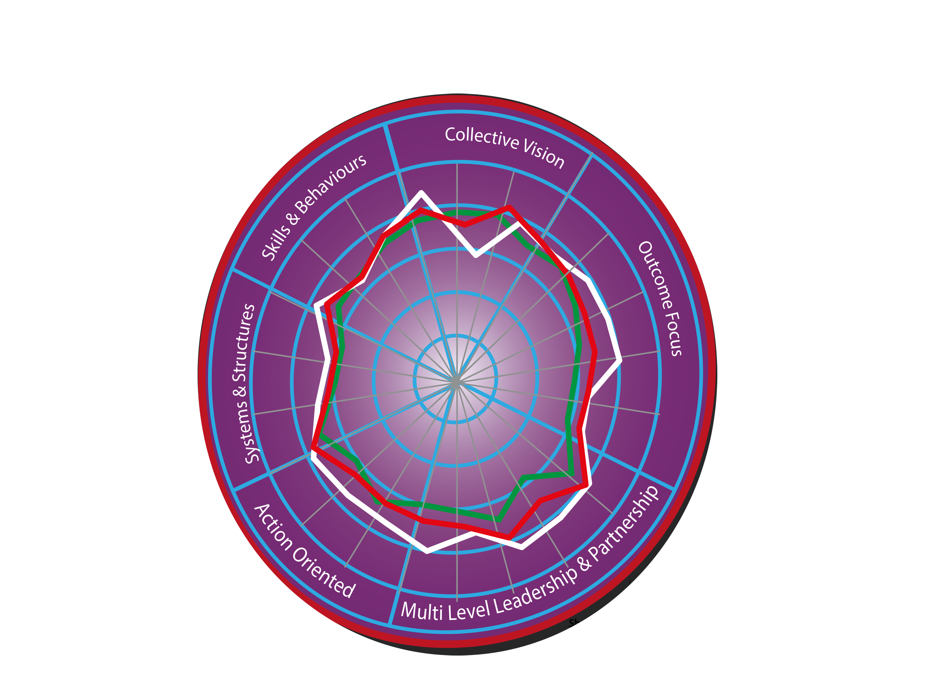 Community Safety Partnership